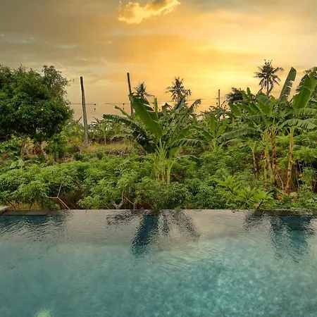 Bunut Bungalow